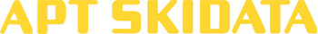 APT SKIDATA logo