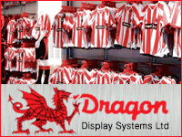 Dragon Display Systems logo