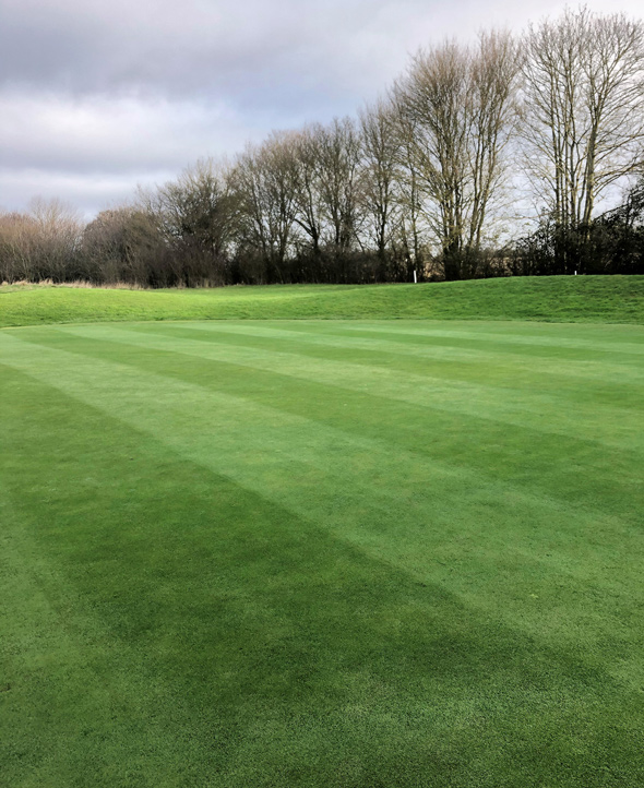 One of the previous problem greens, pictured in February 2020
