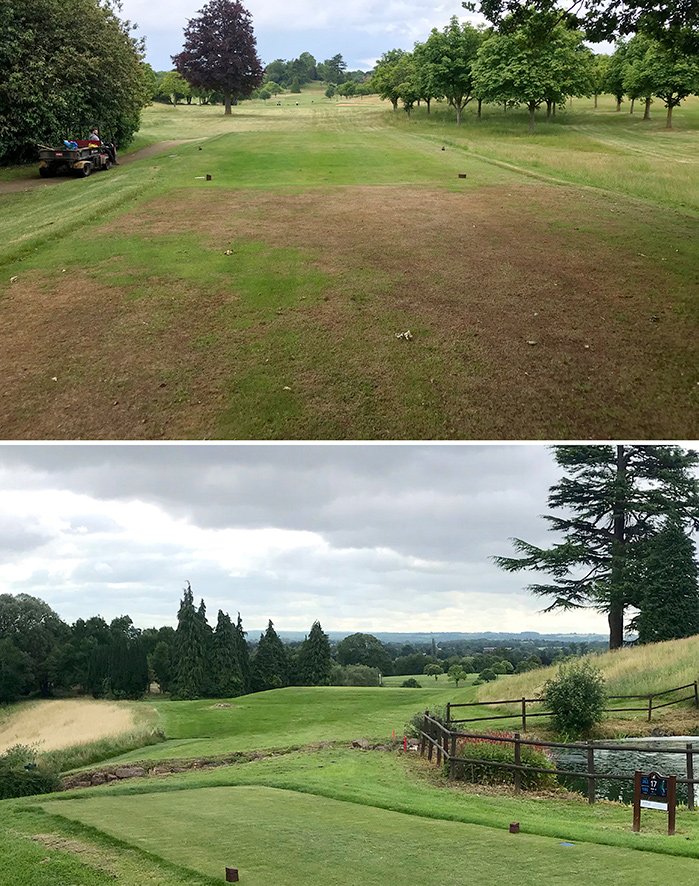 An example of the tees before and after application of TriCure AD™.