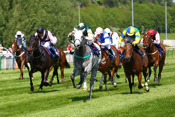 A horseracing event