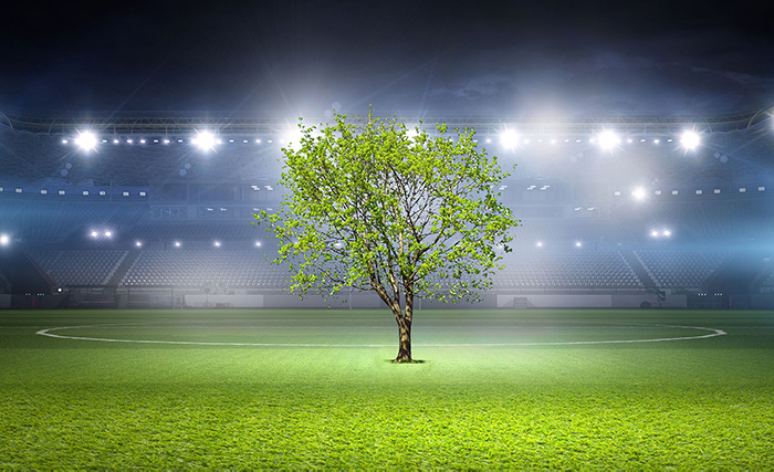 A graphic of a tree growing out of the football pitch in a stadium