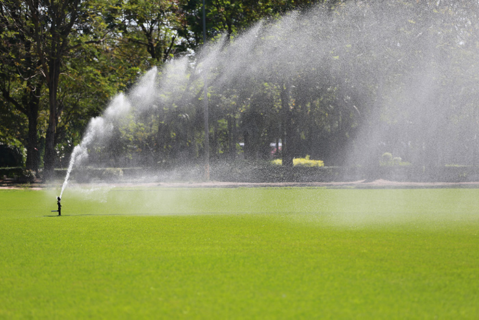 Is irrigating sports turf surfaces under threat? That’s just one of the questions to be tackled at SALTEX, as sustainability and environmental issues will be at the forefront of subjects in the Learning LIVE sessions.