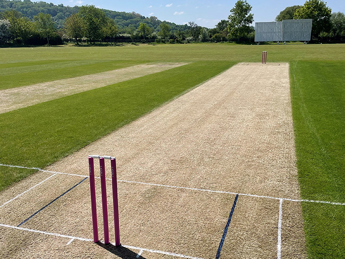 A Cricket Pitch by Willow Turf Care