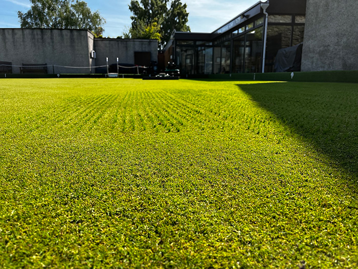 The bowling green at Errol Bowling Club, after using R1 and R9 seed mixtures from Origin Amenity Solutions (OAS)