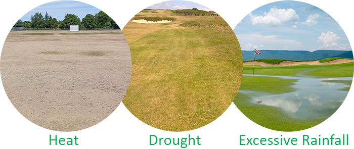 The effects of heat, drought, and excessive rainfall on turf grass
