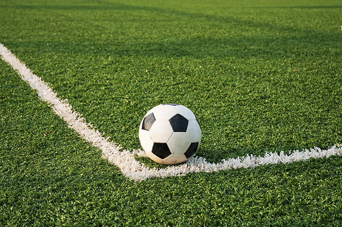 A football on a well-tended football pitch