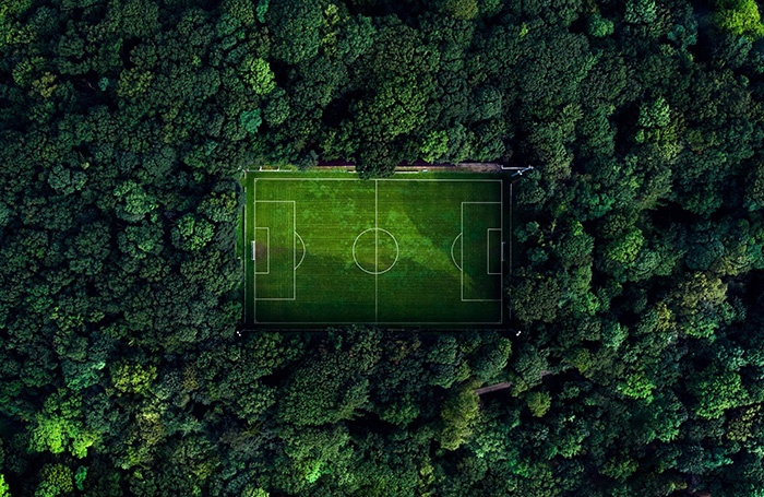 A stadium surrounded by trees