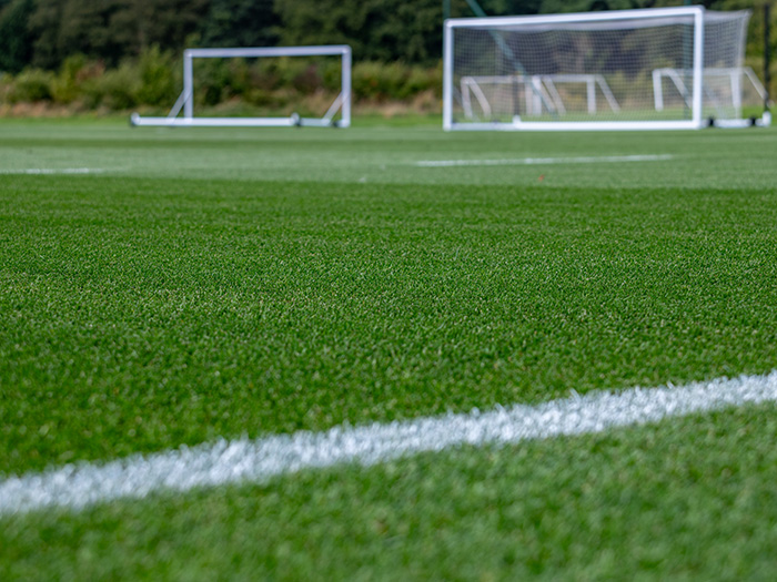 A football pitch in excellent condition