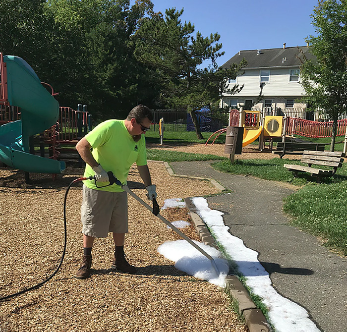 Foamstream being applied to weeds in pavement cracks