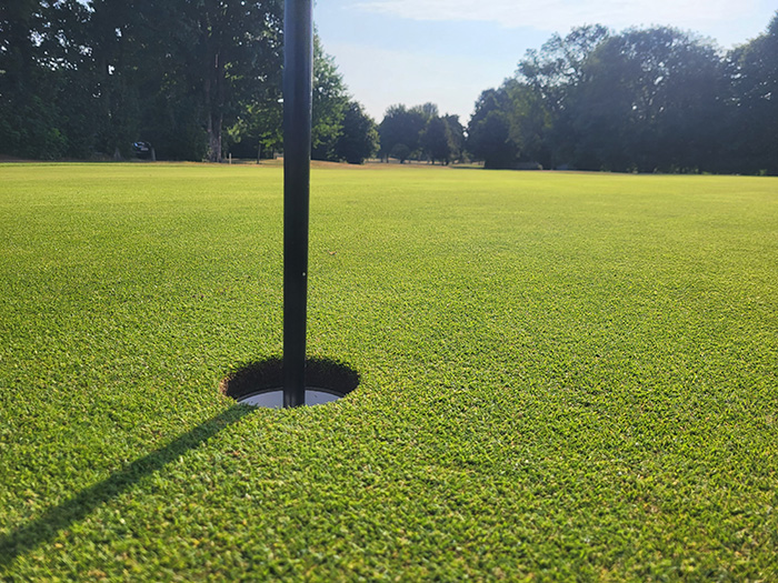 A close up of the grass and golf hole at Ely City Golf Club after Suståne has been applied