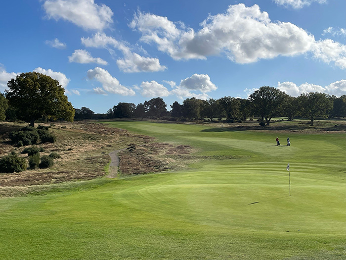 The magnificent Woodbridge Golf Club, utilising the 100% fescue mix from Johnsons Sports Seed 