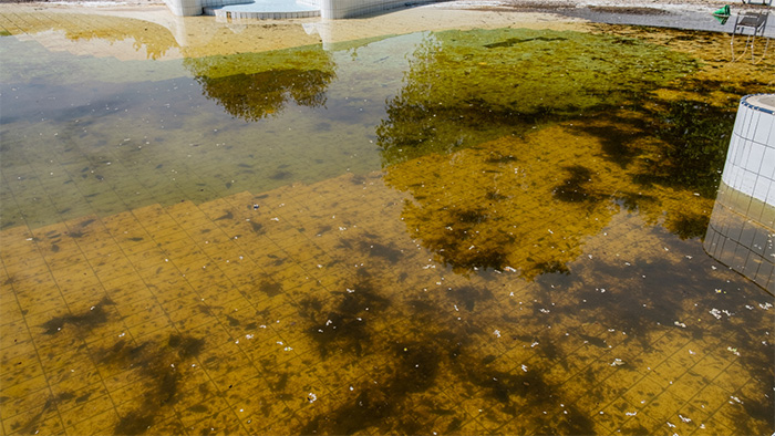 A massive spill of stagnant water